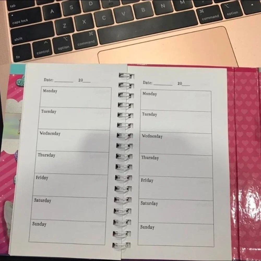 Scholastic brand new